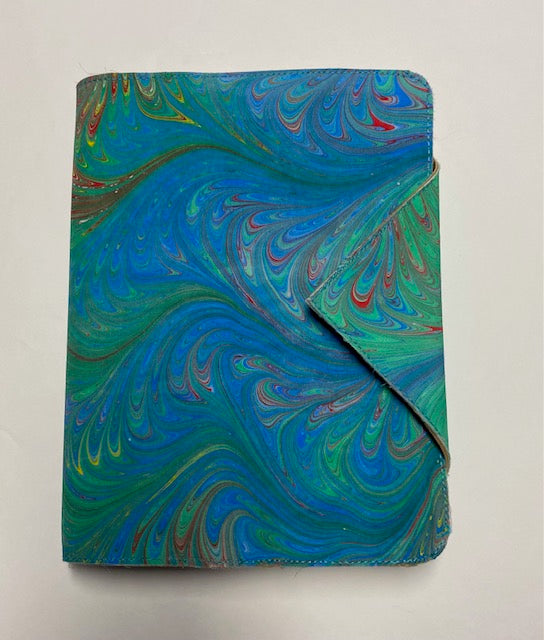Soft Primaries Journal Cover