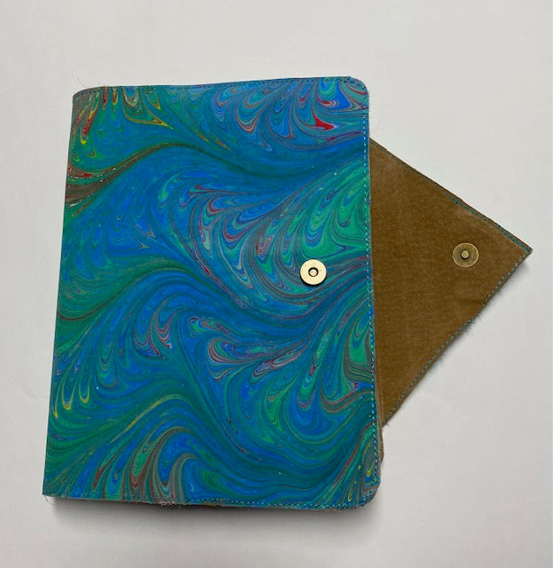 Soft Primaries Journal Cover