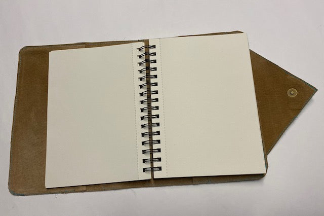 Soft Primaries Journal Cover