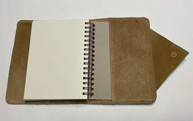 Soft Primaries Journal Cover
