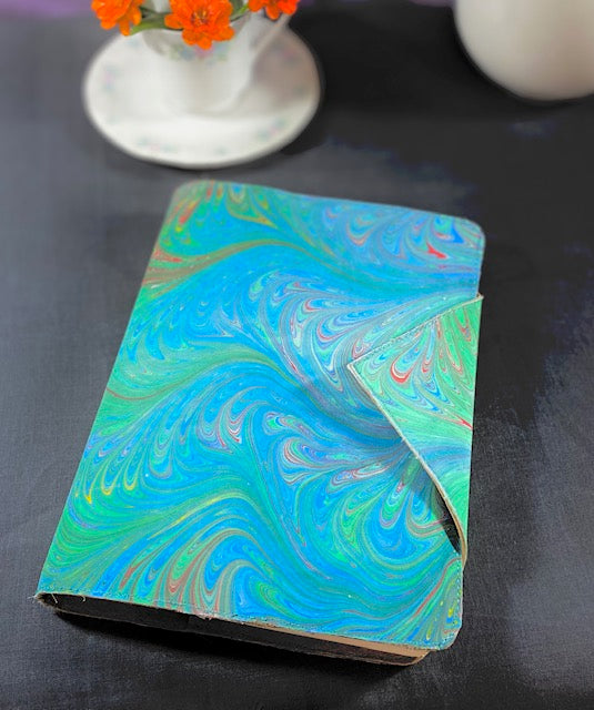 Soft Primaries Journal Cover